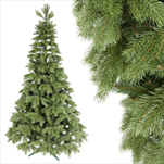 Borovice Klára 220cm - velkoobchod, dovoz květin, řezané květiny Brno