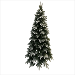 Jedle zasněžená 150cm - velkoobchod, dovoz květin, řezané květiny Brno
