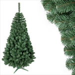 Jedle úzká  250cm - velkoobchod, dovoz květin, řezané květiny Brno