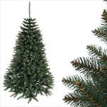 Jedle alpská 220cm - velkoobchod, dovoz květin, řezané květiny Brno