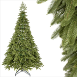 Jedle Naďa  250cm - velkoobchod, dovoz květin, řezané květiny Brno