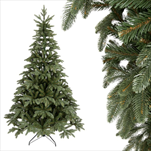 Jedle Naďa 280cm - velkoobchod, dovoz květin, řezané květiny Brno