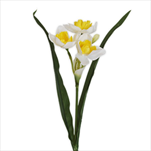 Narcis trs polyester x3/60cm bílá - velkoobchod, dovoz květin, řezané květiny Brno