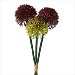 Česnek pvc x3/pr.7V42cm fialová/zelená - velkoobchod, dovoz květin, řezané květiny Brno