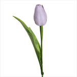 Tulipán latex 41cm sv.fialová - velkoobchod, dovoz květin, řezané květiny Brno