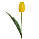 Tulipán latex 41cm žlutá - velkoobchod, dovoz květin, řezané květiny Brno