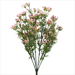 Keřík pvc 36cm zelená/růžová - velkoobchod, dovoz květin, řezané květiny Brno