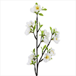 Třešeň větev 46cm - velkoobchod, dovoz květin, řezané květiny Brno