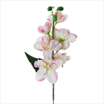 Delphinium 42cm bílá/růžová - velkoobchod, dovoz květin, řezané květiny Brno