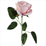 Růže na stonku 51cm sv.růžová - velkoobchod, dovoz květin, řezané květiny Brno
