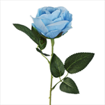 Růže na stonku 51cm sv.modrá - velkoobchod, dovoz květin, řezané květiny Brno