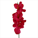 Mečík 53cm bordó - velkoobchod, dovoz květin, řezané květiny Brno