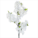 Třešeň větev 102cm bílá - velkoobchod, dovoz květin, řezané květiny Brno