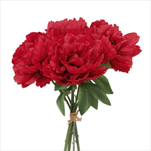 Pivoňky kytice x7/32cm červená - velkoobchod, dovoz květin, řezané květiny Brno