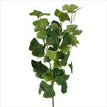Ginko větev 76cm - velkoobchod, dovoz květin, řezané květiny Brno