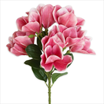 Magnólie větev  x9/78cm růžová - velkoobchod, dovoz květin, řezané květiny Brno