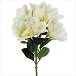 Magnólie větev  x9/78cm krém - velkoobchod, dovoz květin, řezané květiny Brno