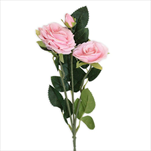 Růže trsová větev x3/38cm sv.růžová - velkoobchod, dovoz květin, řezané květiny Brno