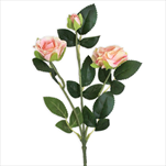 Růže trsová větev x3/38cm růžová - velkoobchod, dovoz květin, řezané květiny Brno
