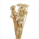 Mountain rice flower 80g bílá - velkoobchod, dovoz květin, řezané květiny Brno