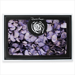 Stabilizovaná  hortenzie BOX fialová - velkoobchod, dovoz květin, řezané květiny Brno