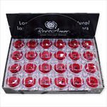 Krabička stabil.růže 4,8cm červená - velkoobchod, dovoz květin, řezané květiny Brno