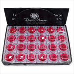 Krabička stabil.růže 4,8cm fuchsia - velkoobchod, dovoz květin, řezané květiny Brno