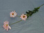 Kopretina umělá 3květy V62cm růžová - velkoobchod, dovoz květin, řezané květiny Brno