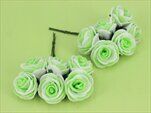 Růže pěna S/12 bílo/zelená - velkoobchod, dovoz květin, řezané květiny Brno