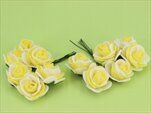 Růže pěna S/12 bílo/žlutá - velkoobchod, dovoz květin, řezané květiny Brno