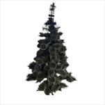 Borovice žilková 180 cm - velkoobchod, dovoz květin, řezané květiny Brno