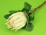 Protea umělá 66cm krémová - velkoobchod, dovoz květin, řezané květiny Brno