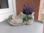 KE Obal bota menší - velkoobchod, dovoz květin, řezané květiny Brno