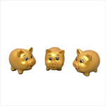 Prasátko zlaté 7 x 5 cm - velkoobchod, dovoz květin, řezané květiny Brno