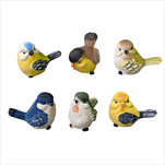 KE Ptáček barevný 6 x 5 cm - mix 6 druhů - velkoobchod, dovoz květin, řezané květiny Brno