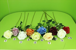 Uk větev růže mix - velkoobchod, dovoz květin, řezané květiny Brno
