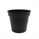 Plast obal Camelie 14cm antracit  - velkoobchod, dovoz květin, řezané květiny Brno