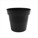 Plast obal Camelie 17cm antracit  - velkoobchod, dovoz květin, řezané květiny Brno