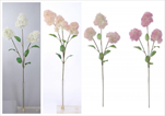 UK Ruj vlasatá větev x3 70cm - velkoobchod, dovoz květin, řezané květiny Brno
