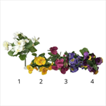 UK Maceška trs 27cm mix - velkoobchod, dovoz květin, řezané květiny Brno