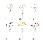 UK Karafiát trs 68cm mix - velkoobchod, dovoz květin, řezané květiny Brno