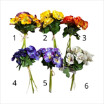 UK Maceška svazek mini 20cm mix - velkoobchod, dovoz květin, řezané květiny Brno