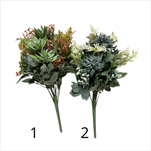 UK Zeleň sukulent 40cm - velkoobchod, dovoz květin, řezané květiny Brno