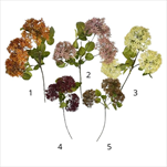 UK Česnek podzim 70 cm mix - velkoobchod, dovoz květin, řezané květiny Brno