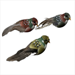 DO Ptáček z peří na klipu 9x3cm S/3 mix - velkoobchod, dovoz květin, řezané květiny Brno