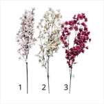 UK Magnolie hvězdicová 110cm  - velkoobchod, dovoz květin, řezané květiny Brno