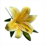 UK Lilie květ+ poupě 45 cm žlutá - velkoobchod, dovoz květin, řezané květiny Brno
