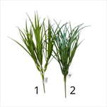 UK Zeleň tráva 45cm - velkoobchod, dovoz květin, řezané květiny Brno