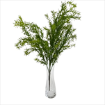 UK Zeleň větev asparág 60cm  - velkoobchod, dovoz květin, řezané květiny Brno