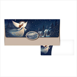 Obálka na peníze 88-060 - velkoobchod, dovoz květin, řezané květiny Brno